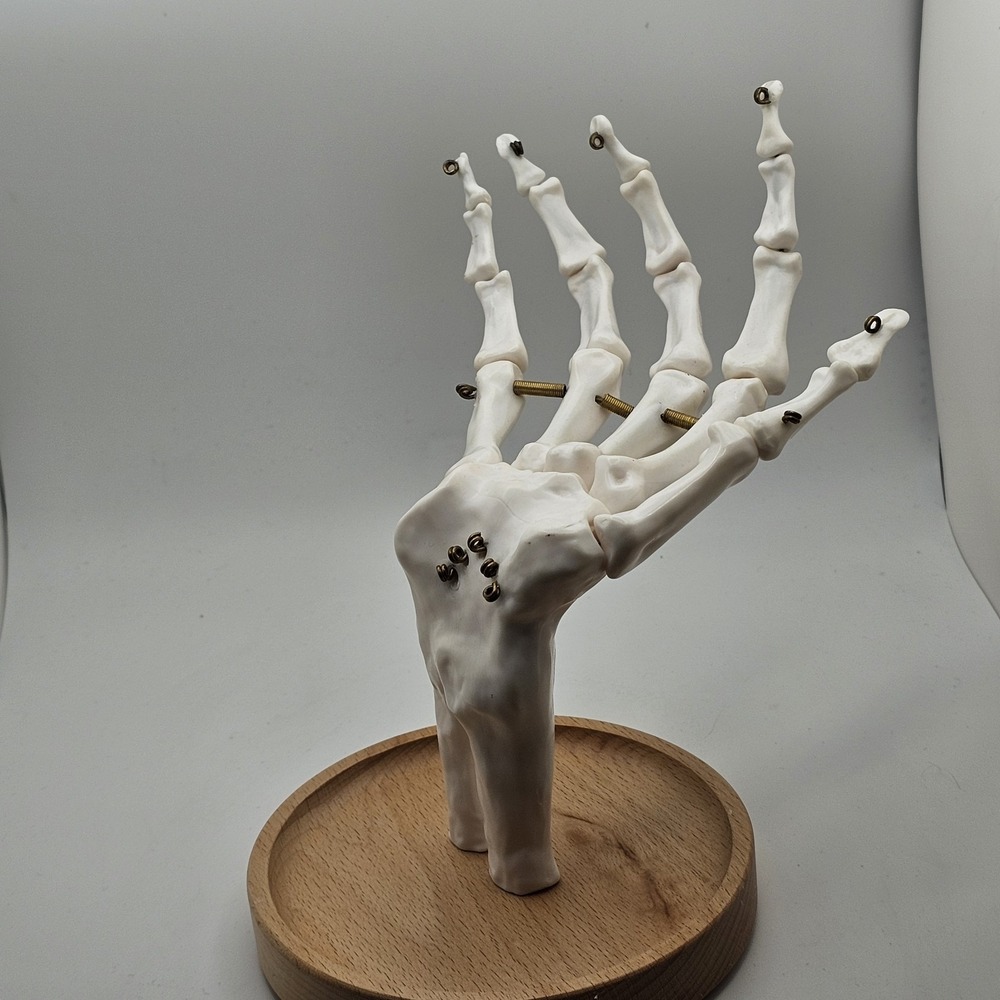Suck UK Skeleton Hand Jewelry Tidy Holder Organizer Halloween